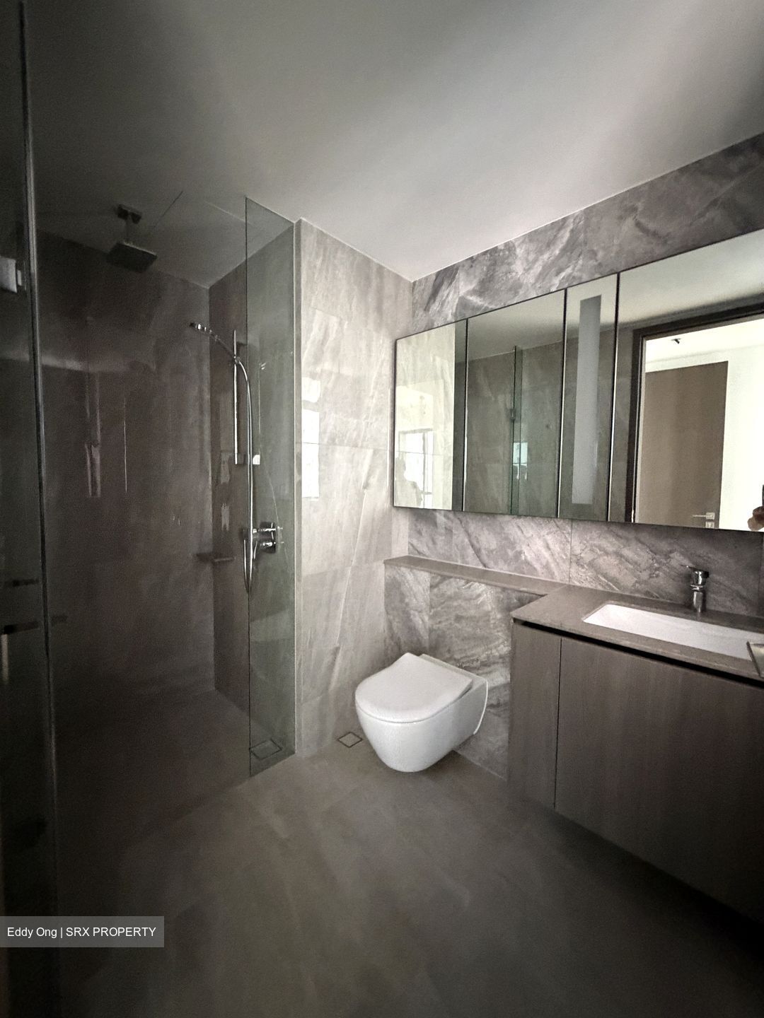 Piccadilly Grand (D8), Apartment #543909411